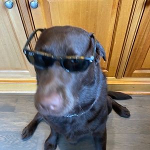 Meet your Posher, Philip